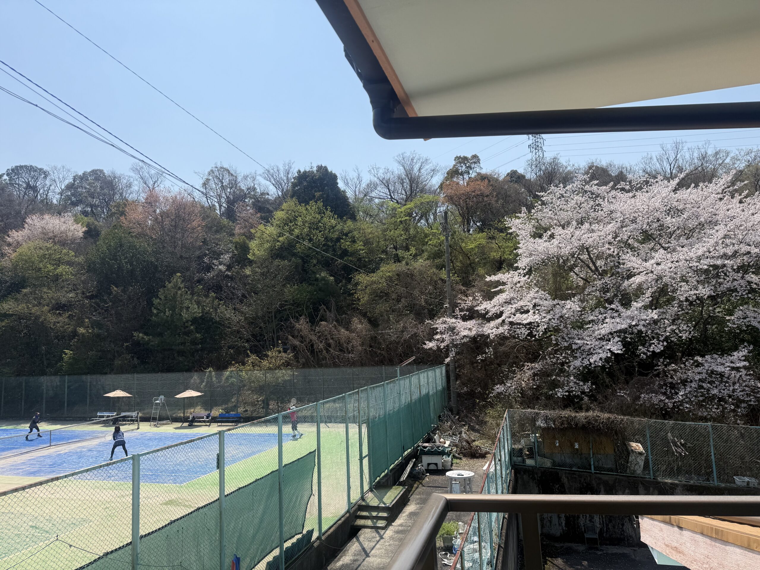 トーナメントサムネイル